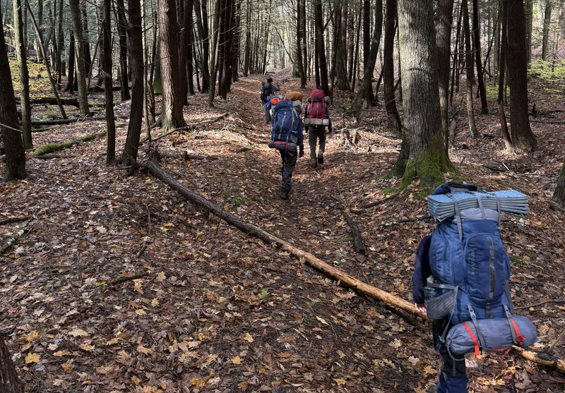 Students carrying large backpacks hike single file along a wooded trail covered in fallen leaves